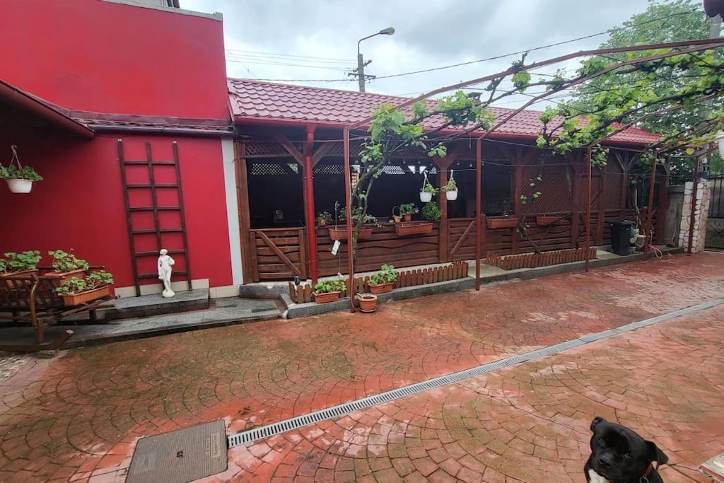 فيلا Casa In Oradea ! المظهر الخارجي الصورة